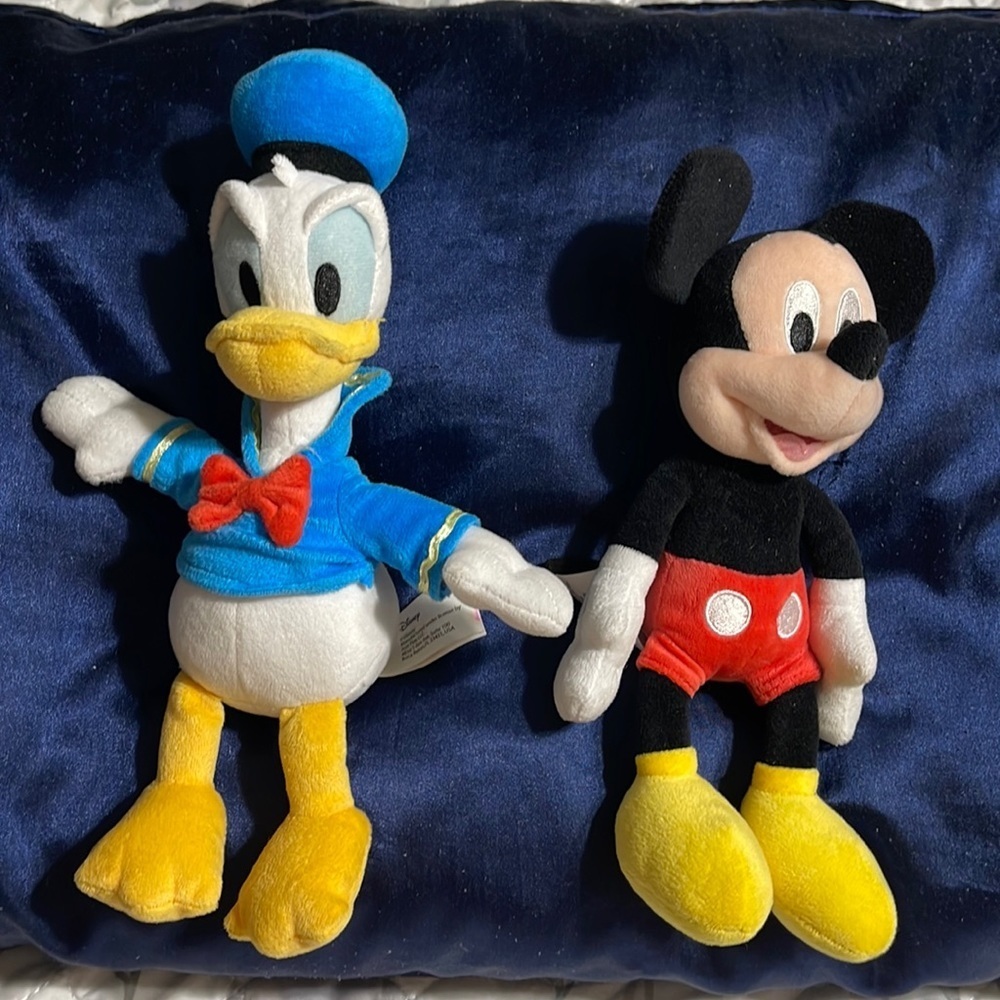 Mickey and Donald small plush